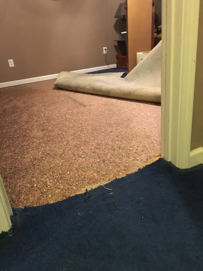 Carpet pad removal revealing water damage during Water Mitigation Services in South St. Paul