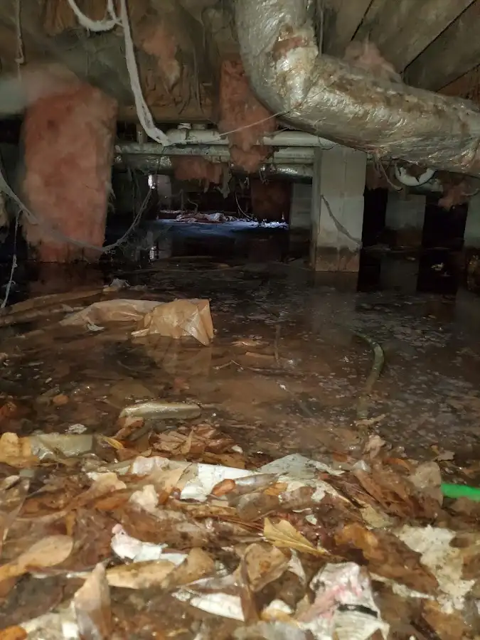 Crawl space flood assessment for Commercial Water Damage Restoration in South St. Paul