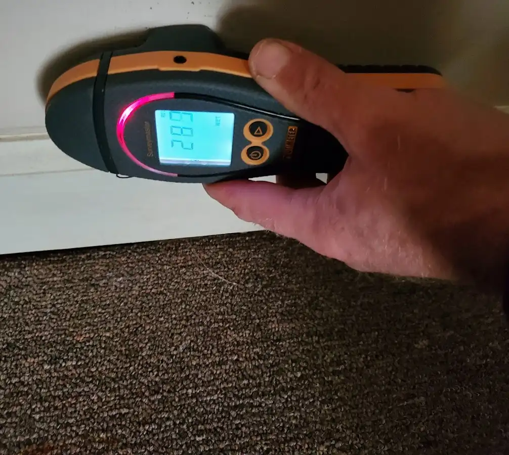 Moisture detection at baseboard during Sewage Cleanup & Sanitation in South St. Paul